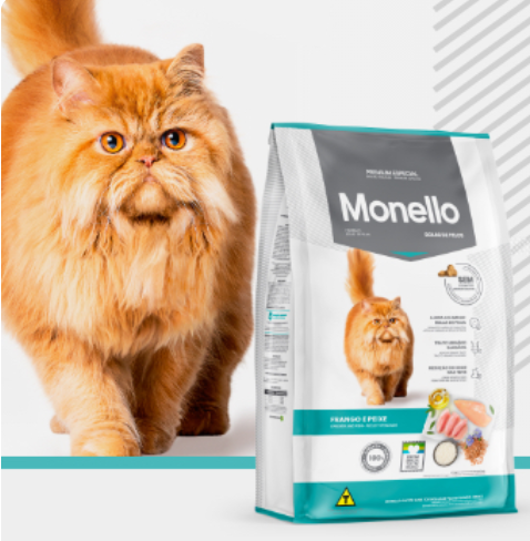 Monello Gato - Image 3
