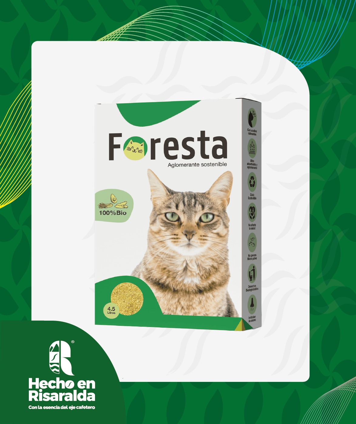 FORESTA