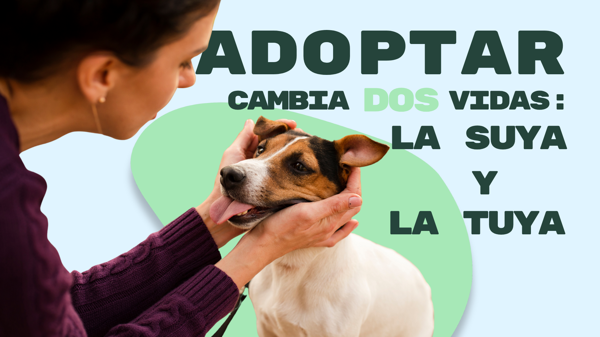 Adopcion