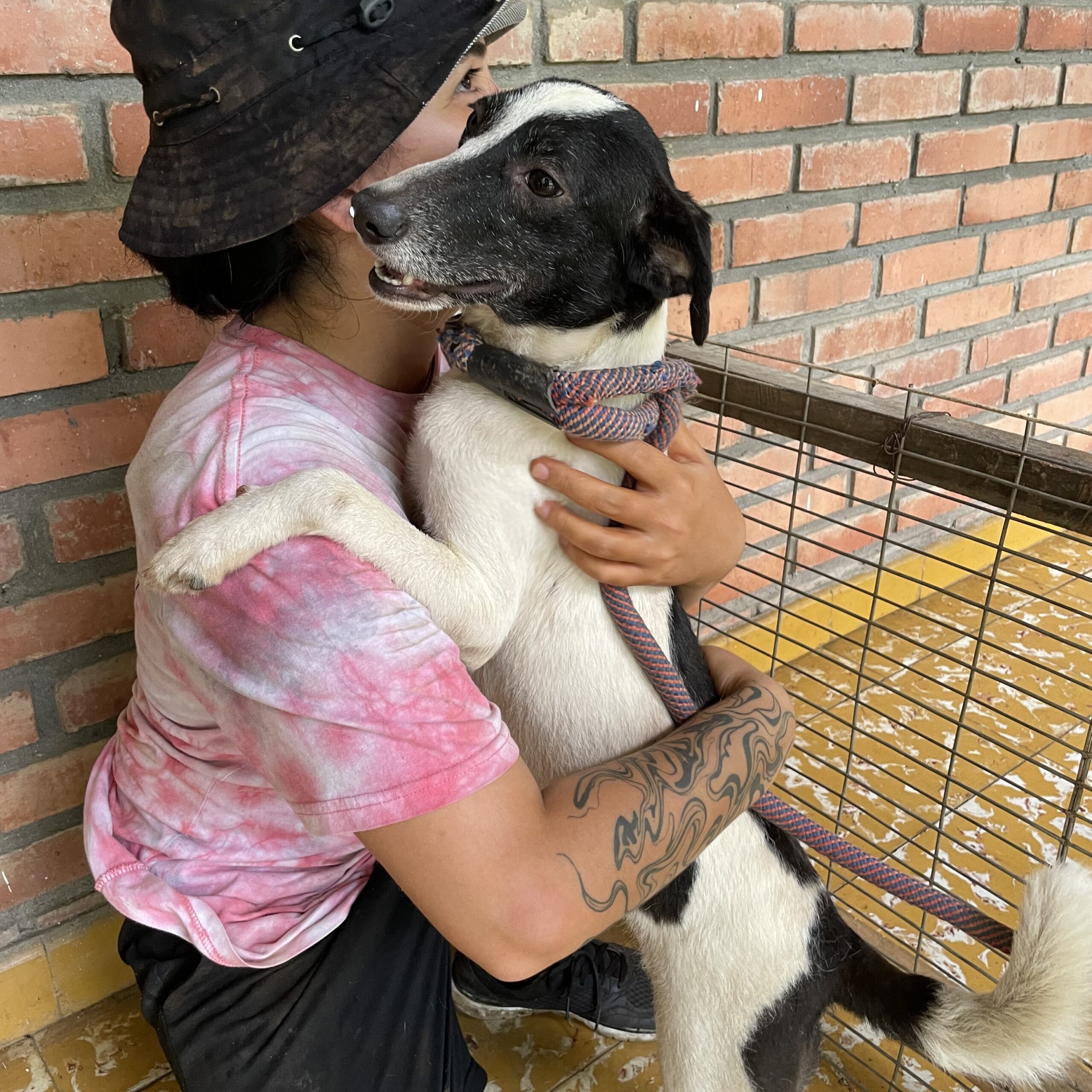adopcion 3
