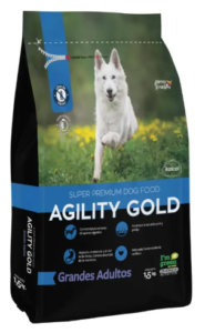 agility perro adulto
